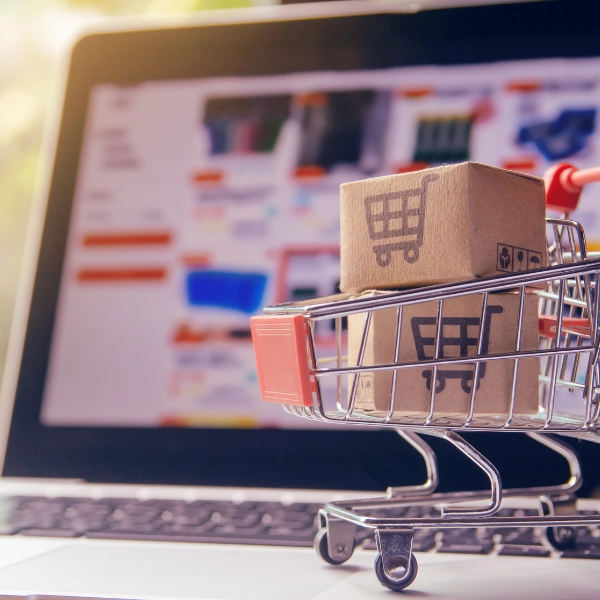 Digital Focus Labs - What is Ecommerce Shopping cart solution